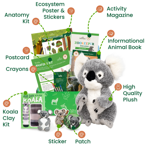 Koala Zookeeper Box (Ages 3-5)
