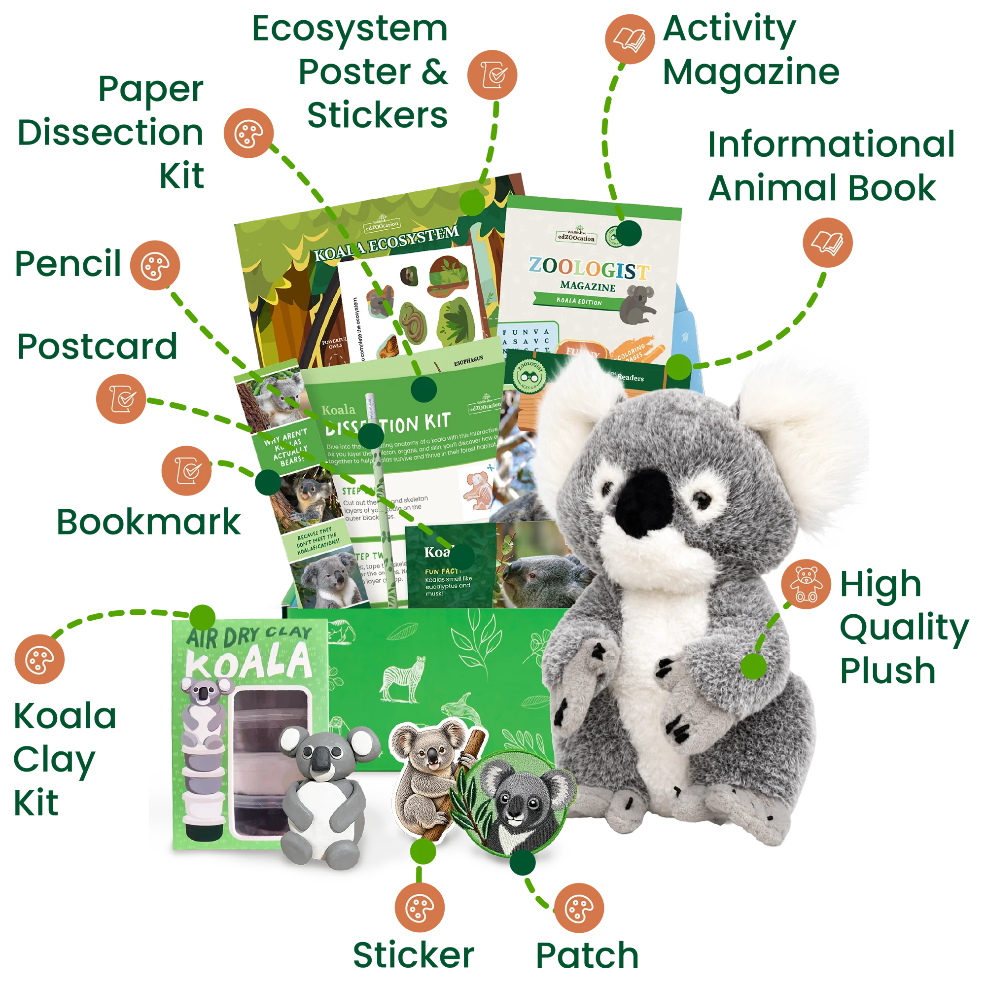 Koala Zoologist Box (Ages 6-8)