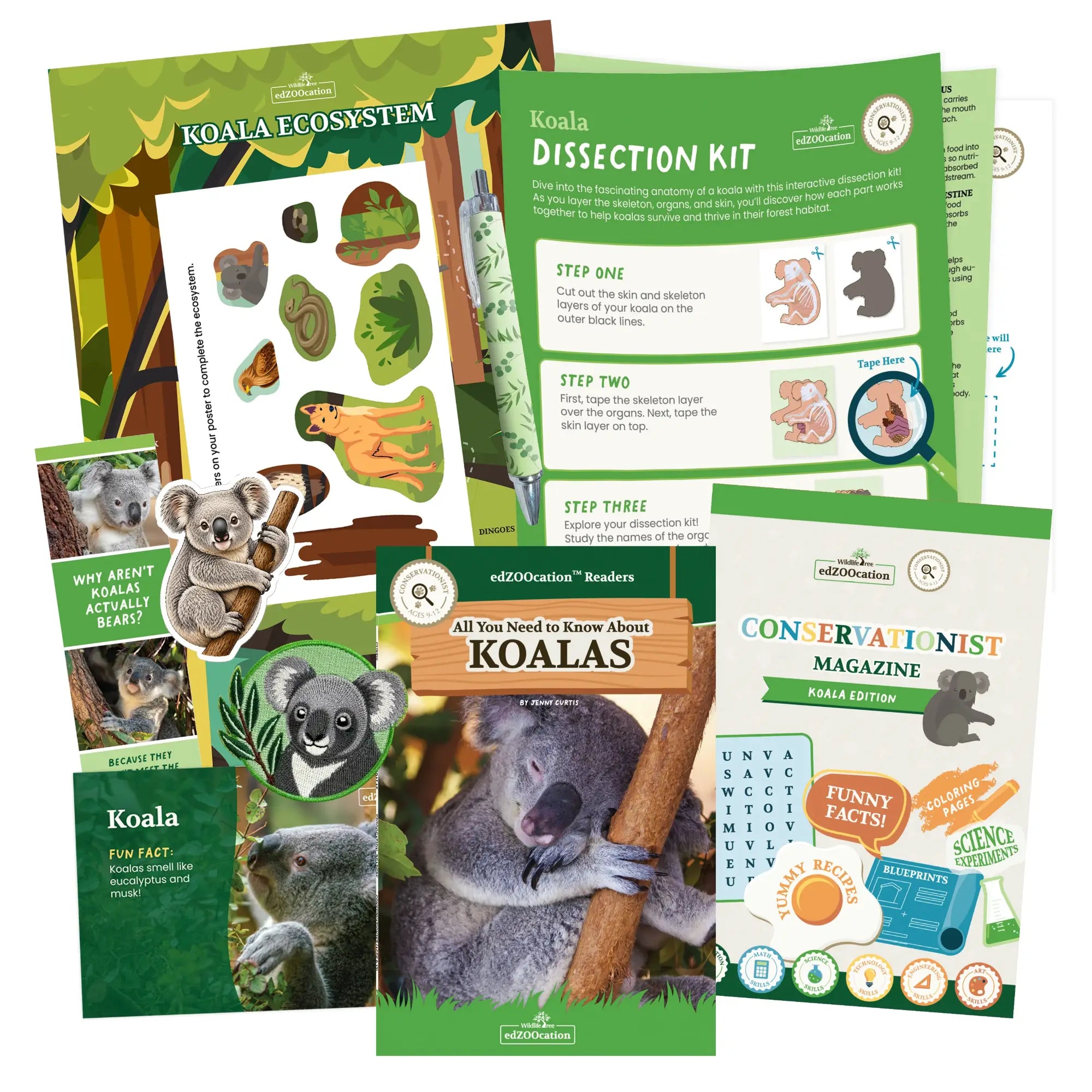 Koala Conservationist Box (Age 9-12)