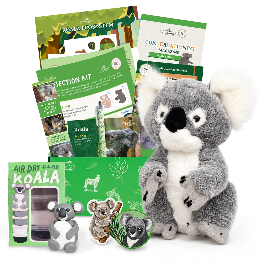 A koala-themed gift set featuring a plush gray and white koala toy, green conservation magazine, air dry clay kits, educational cards, and small koala stickers on a white background.