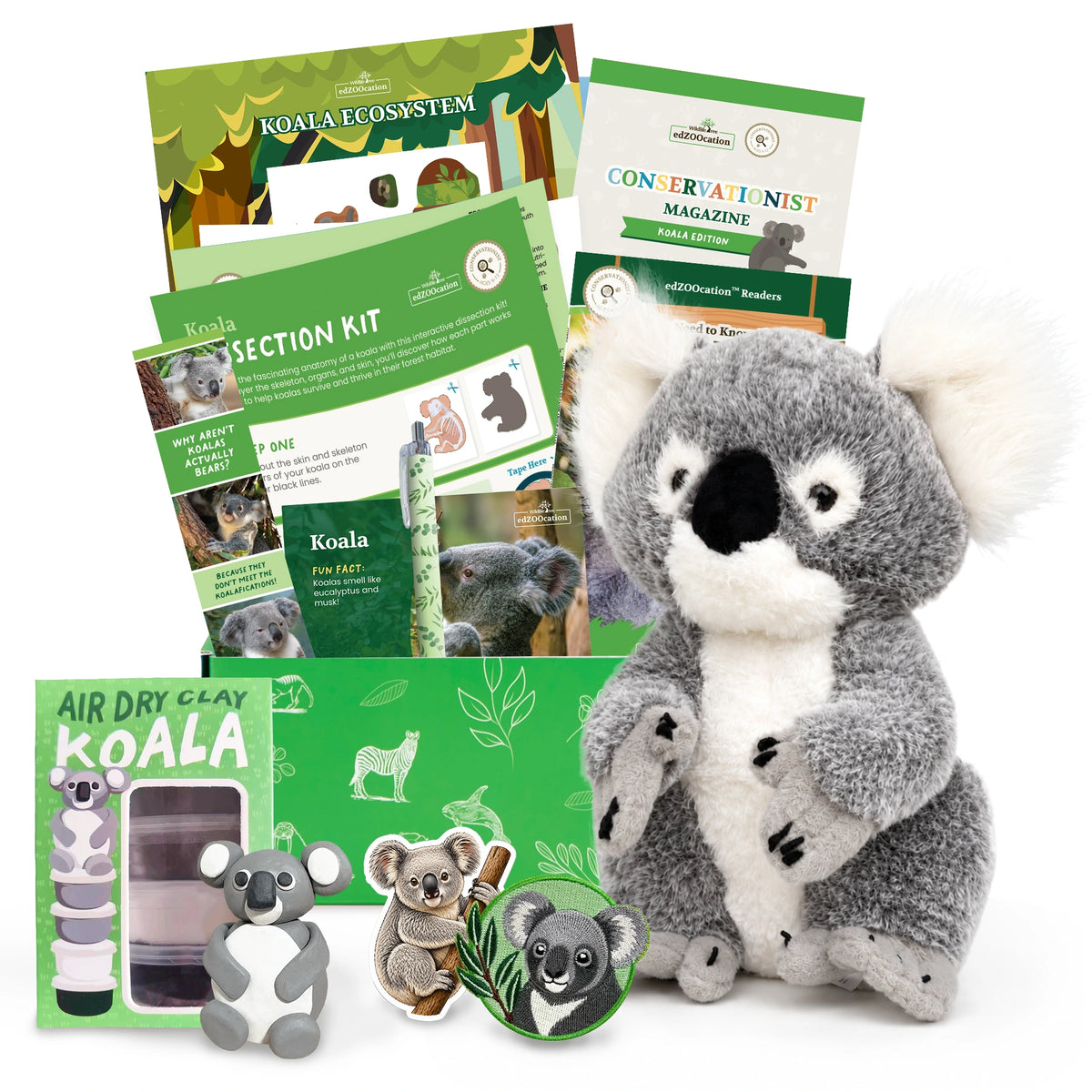 A koala-themed gift set featuring a plush gray and white koala toy, green conservation magazine, air dry clay kits, educational cards, and small koala stickers on a white background.
