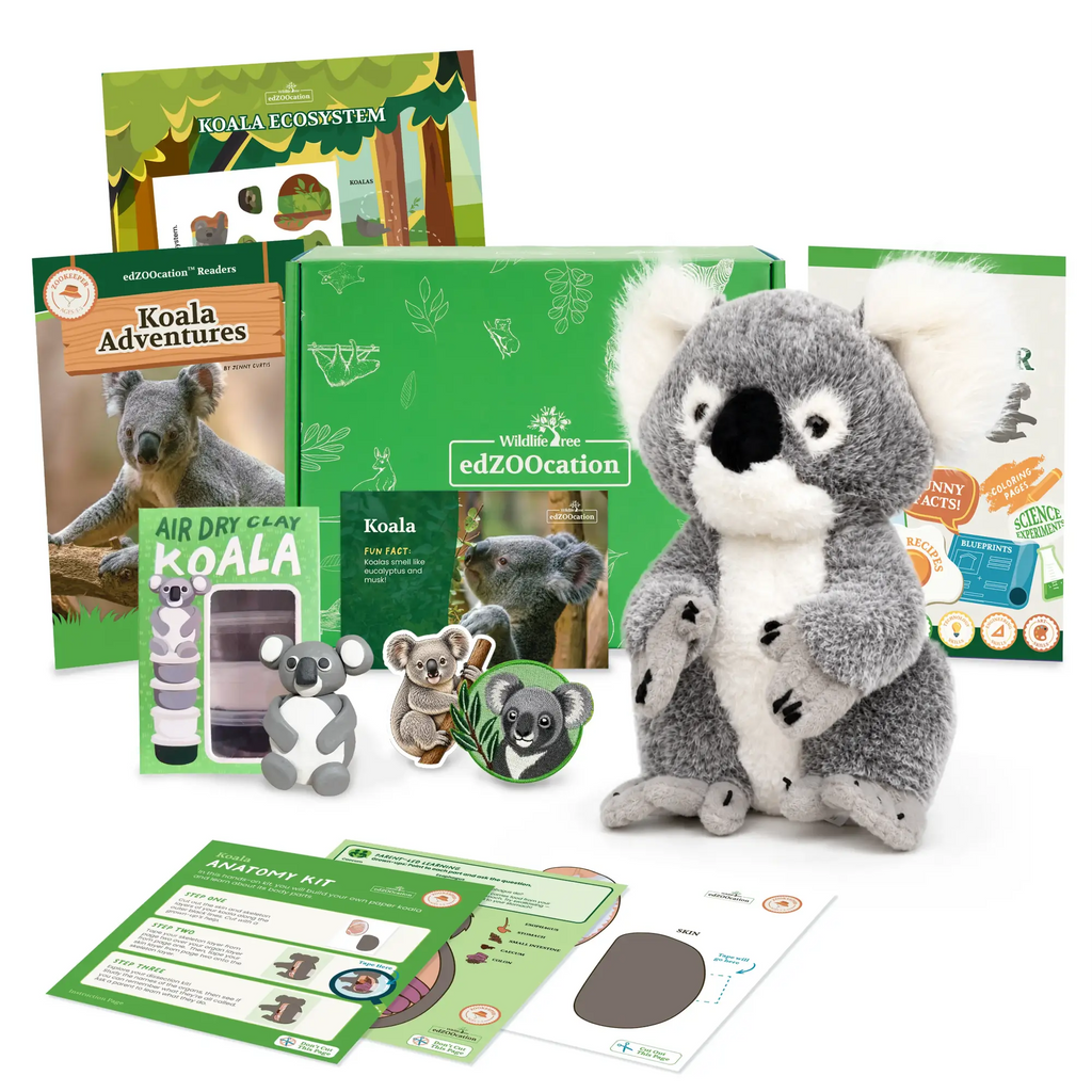 Koala Zookeeper Box (Ages 3-5)