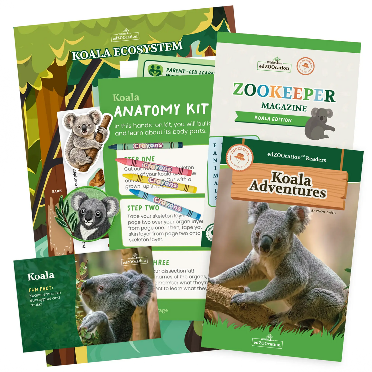 Koala Zookeeper Box (Ages 3-5)