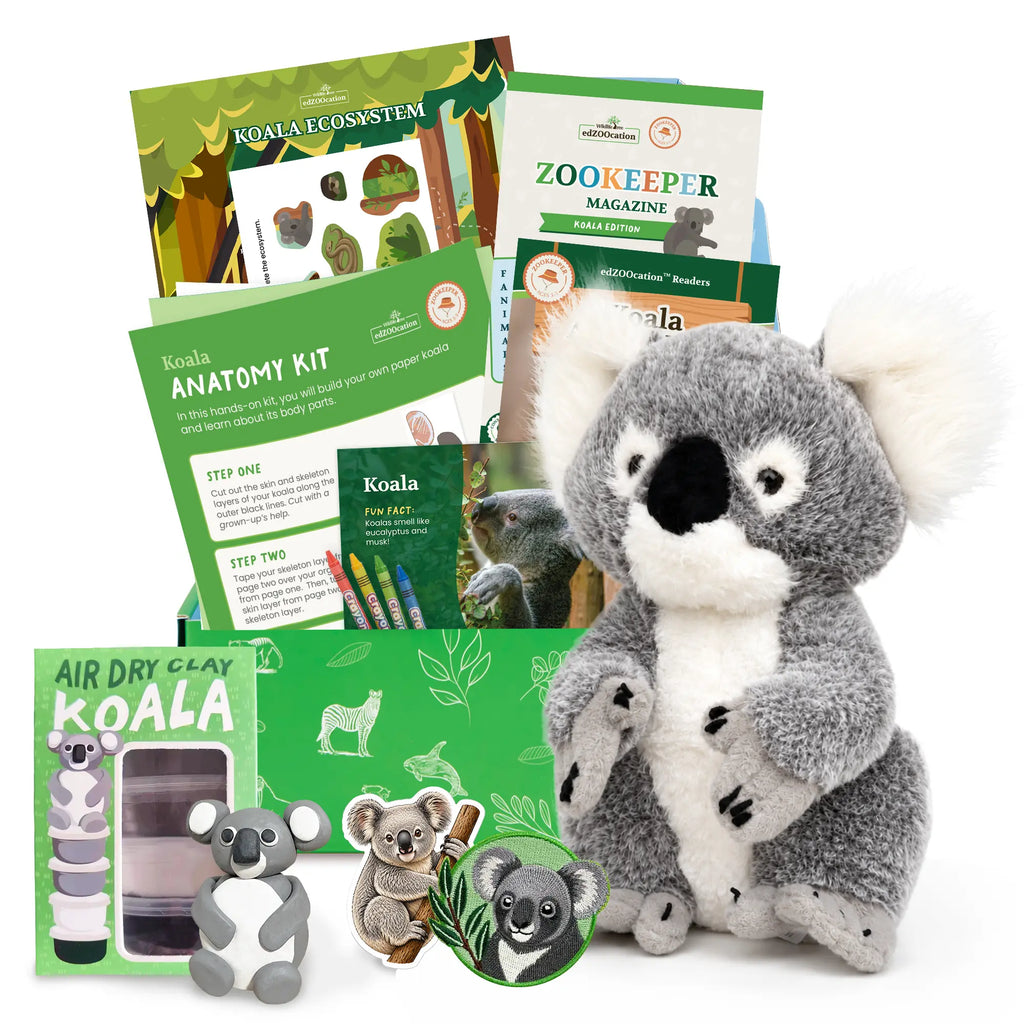 A Koala Explorer educational gift set featuring a plush koala toy, a green koala anatomy kit, a koala air dry eye kit, a koala sticker pack, and a koala keeper magazine, all arranged on a white background.