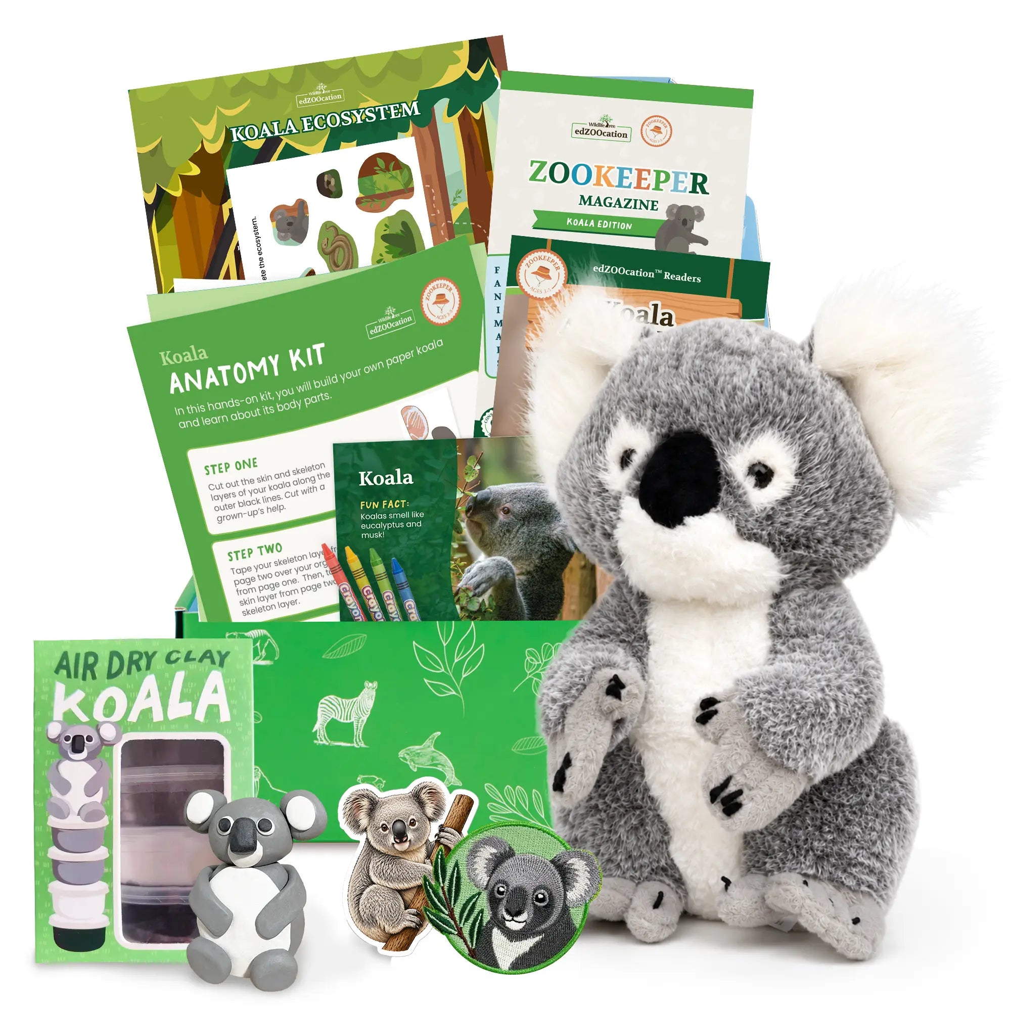 A Koala Explorer educational gift set featuring a plush koala toy, a green koala anatomy kit, a koala air dry eye kit, a koala sticker pack, and a koala keeper magazine, all arranged on a white background.