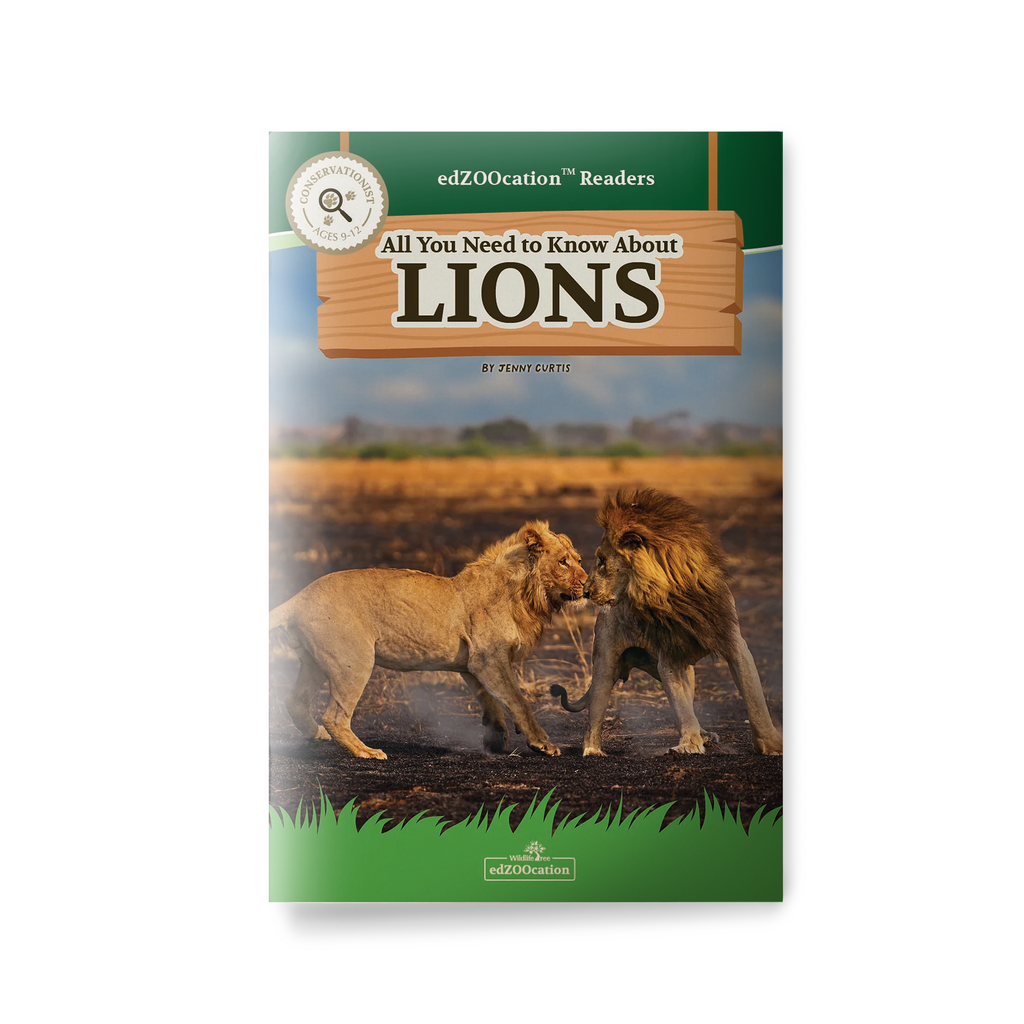 Book cover of 'All You Need to Know About Lions' with two lions on a savannah background.