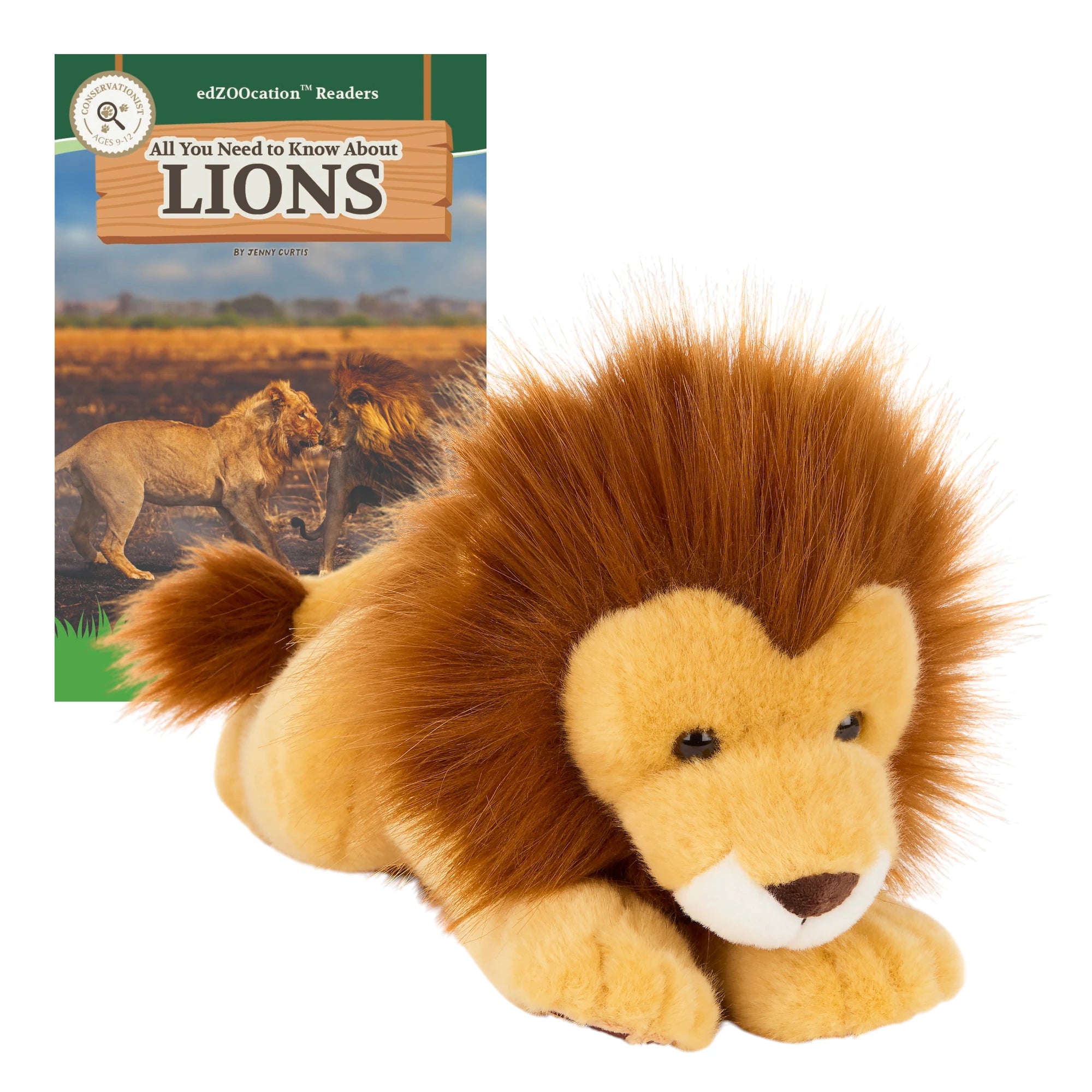 Plush lion toy with a book titled 'All You Need to Know About Lions' on a white background