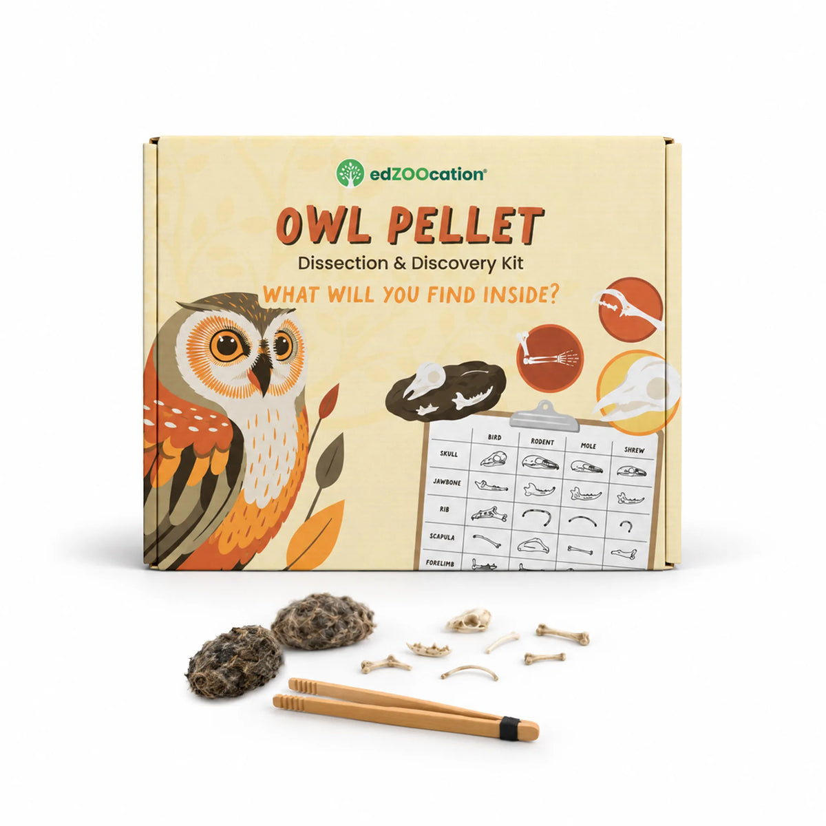 edZOOcation Owl Pellet Dissection & Discovery Kit box with two owl pellets, bones and bamboo tweezers