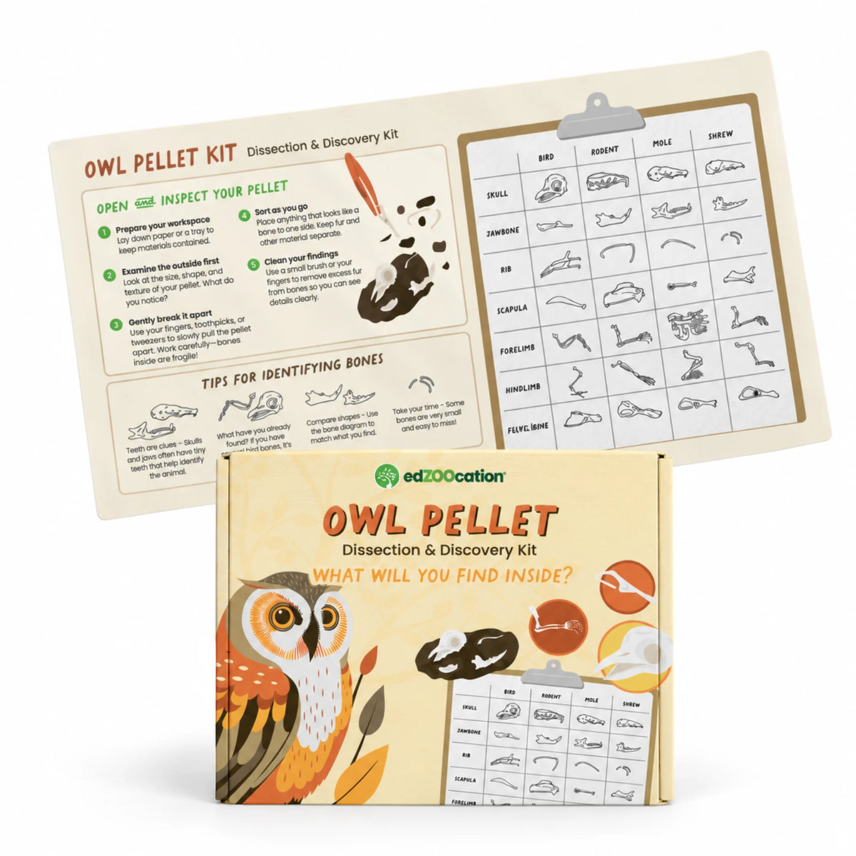 Owl Pellet Kit box with dissection mat showing step-by-step instructions and bone ID chart