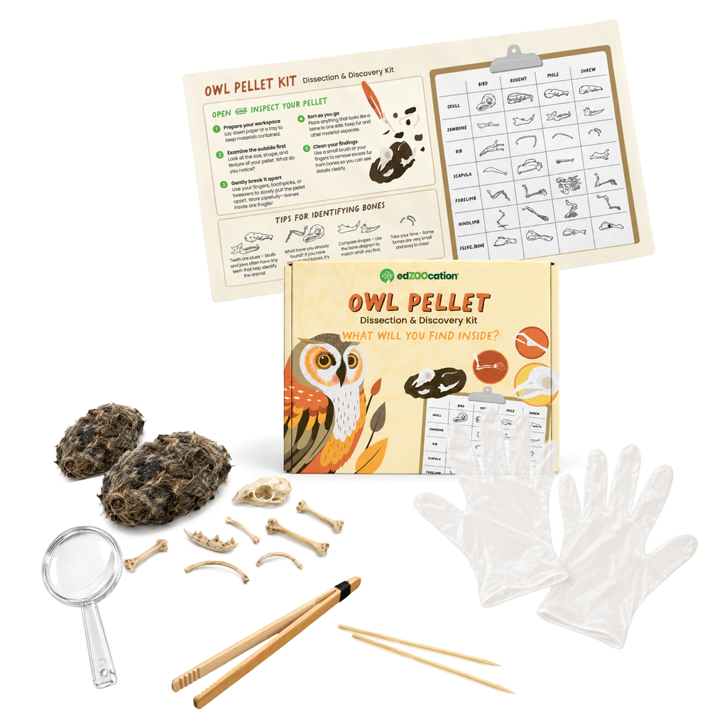 Owl Pellet Dissection & Discovery Kit with 2 owl pellets, bones, bone ID mat, bamboo tweezers, skewers, magnifying glass and gloves