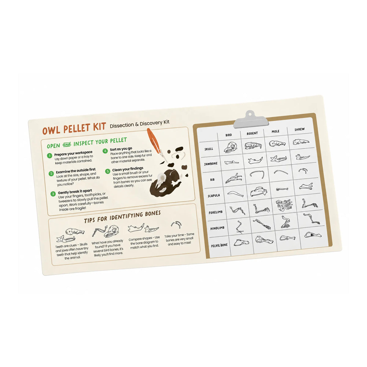Owl pellet dissection mat with instructions and bone identification chart for bird, rodent, mole and shrew bones