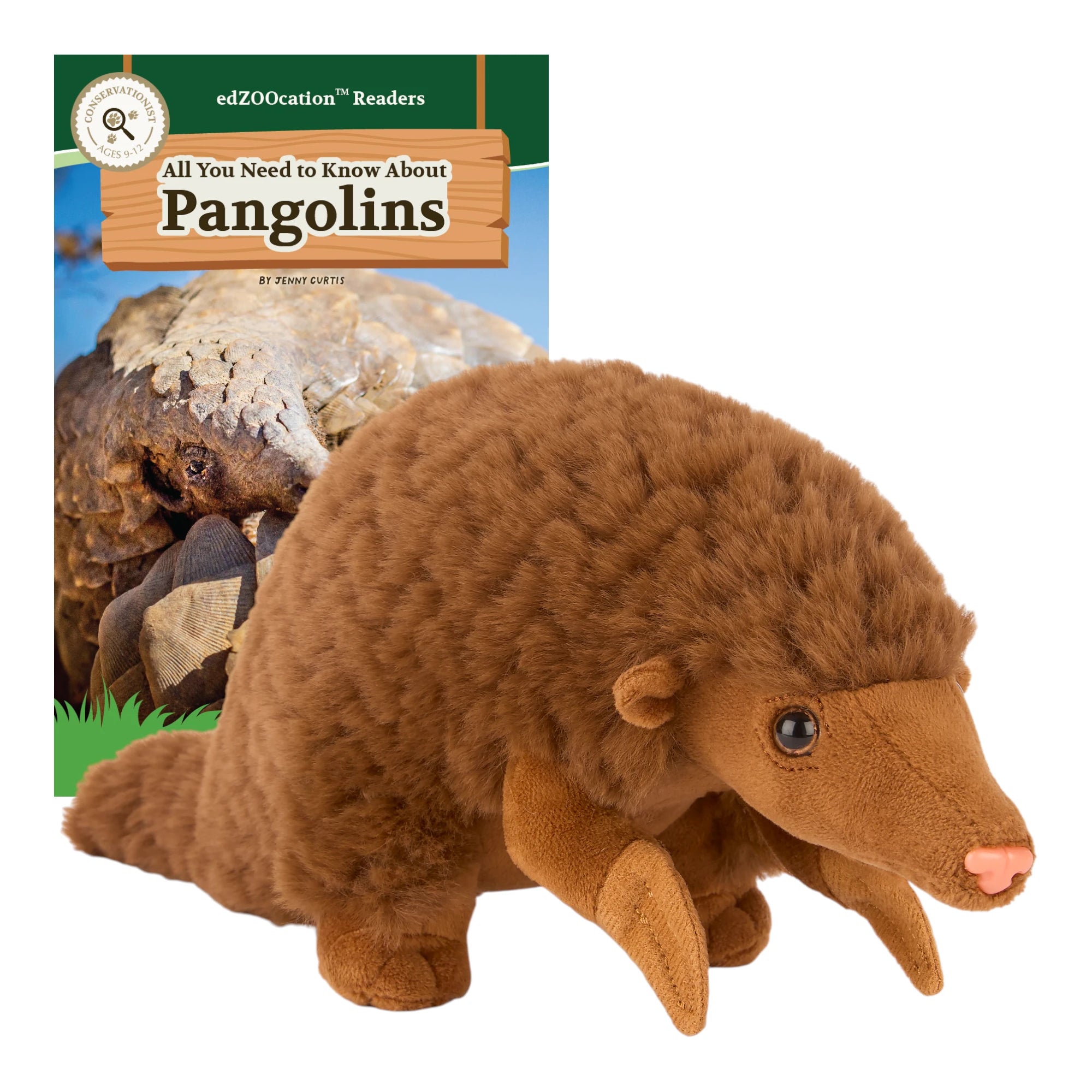 Plush pangolin toy in front of a book titled 'All You Need to Know About Pangolins'.