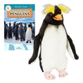 Plush penguin toy next to a book about penguins on a white background