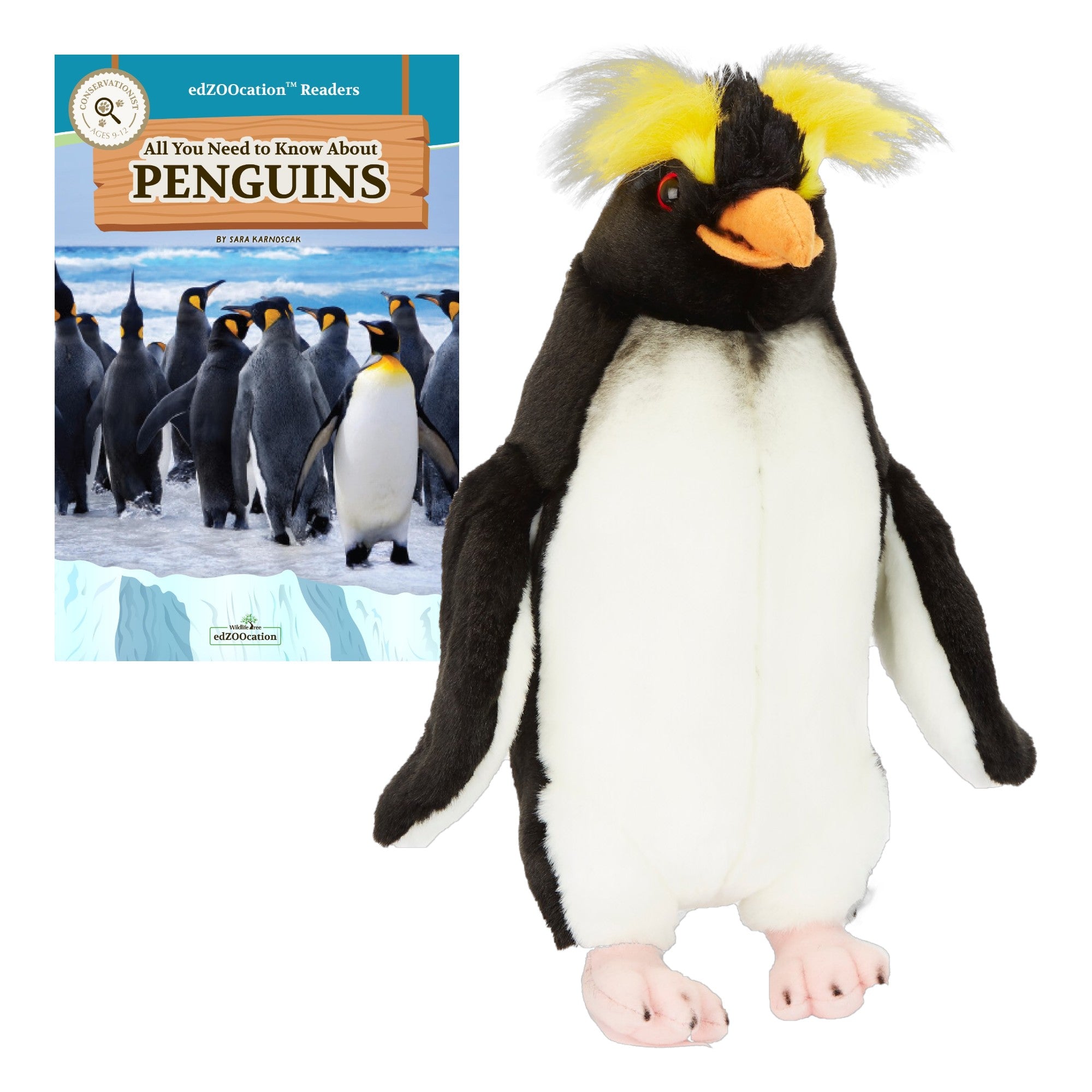 Plush penguin toy next to a book about penguins on a white background