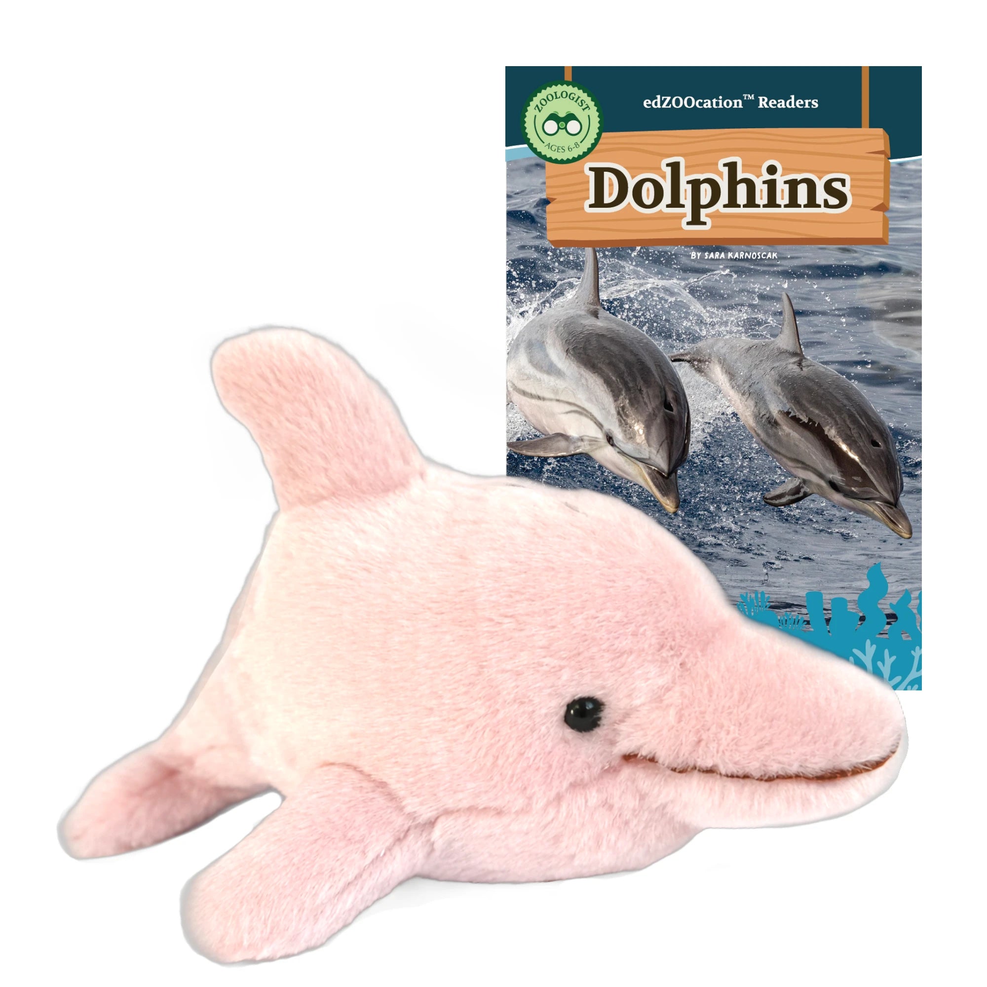 Plush dolphin toy with educational reader about dolphins on a white background