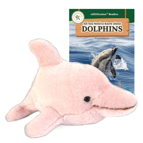 Plush dolphin toy with a book titled 'All You Need to Know About Dolphins' on a white background
