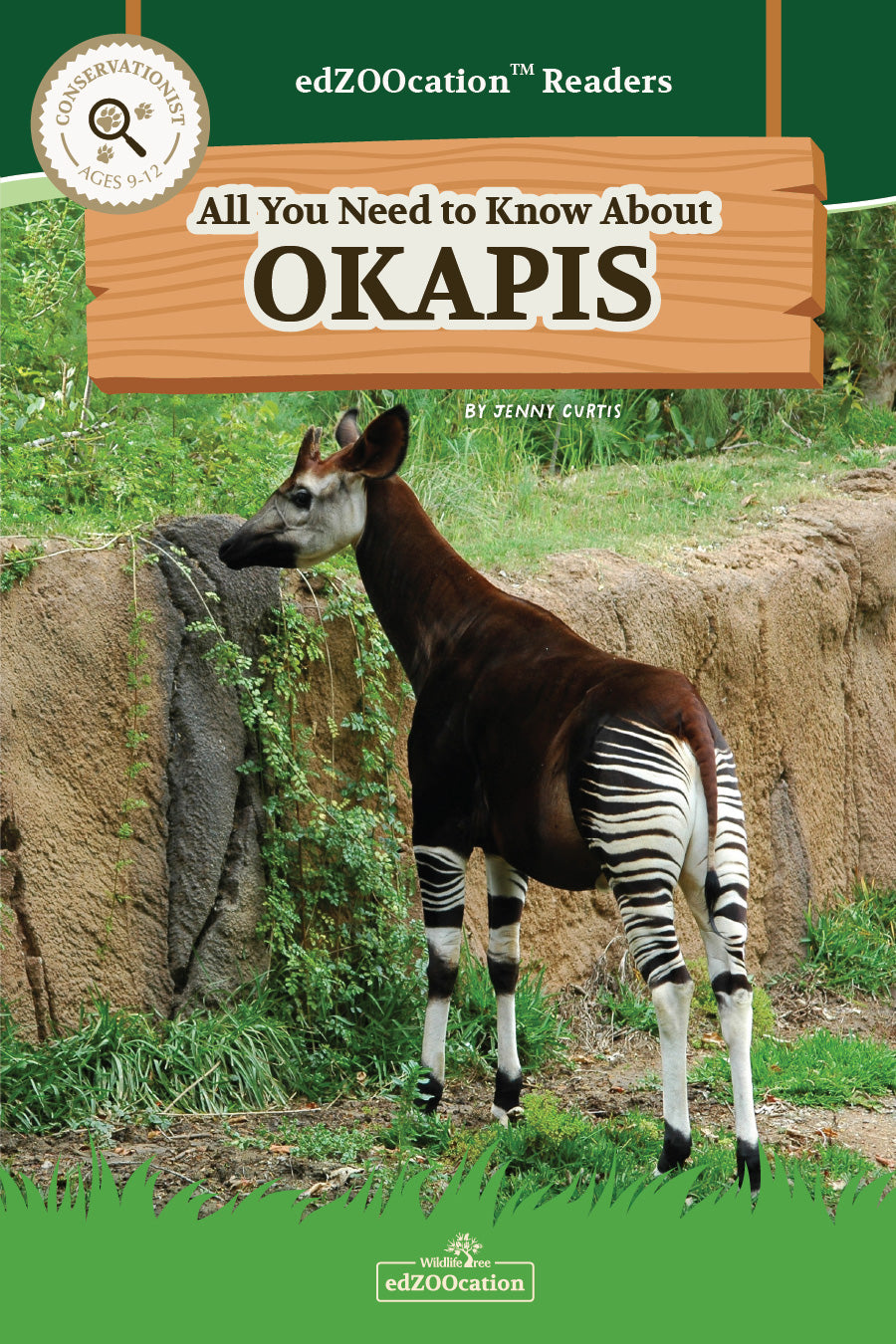 Book cover of 'All You Need to Know About Okapis' with an okapi on a green background