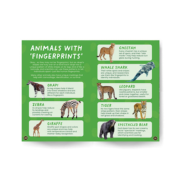 Educational card about animals with fingerprints on a green background