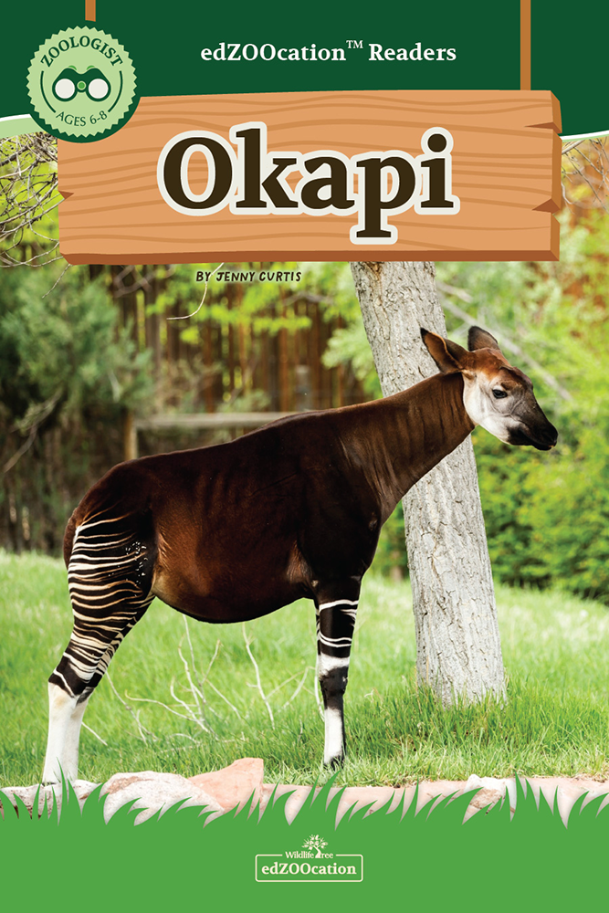 Book cover of 'Okapi' from edZOOcation Readers with an okapi in a natural setting.
