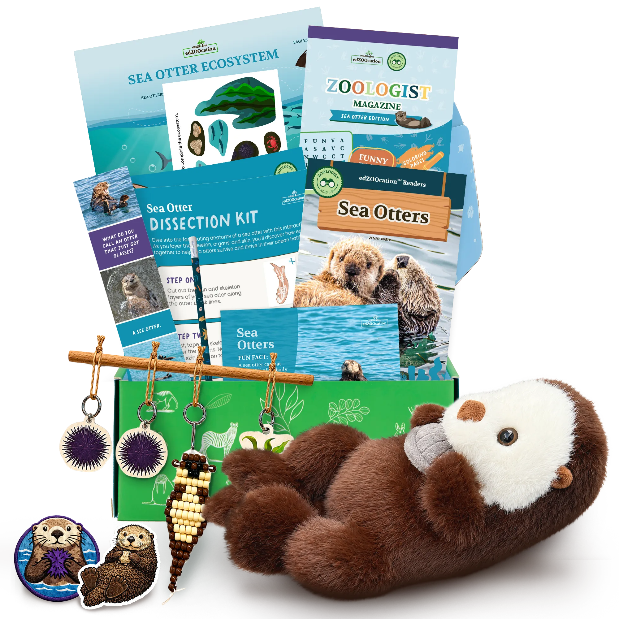 Sea otter educational box with plush toy, books, and activities on a white background