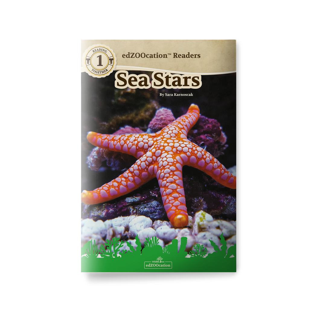 Sea Stars Wildlife Tree edZOOcation™ Readers Book (Level 1) - Paperbac