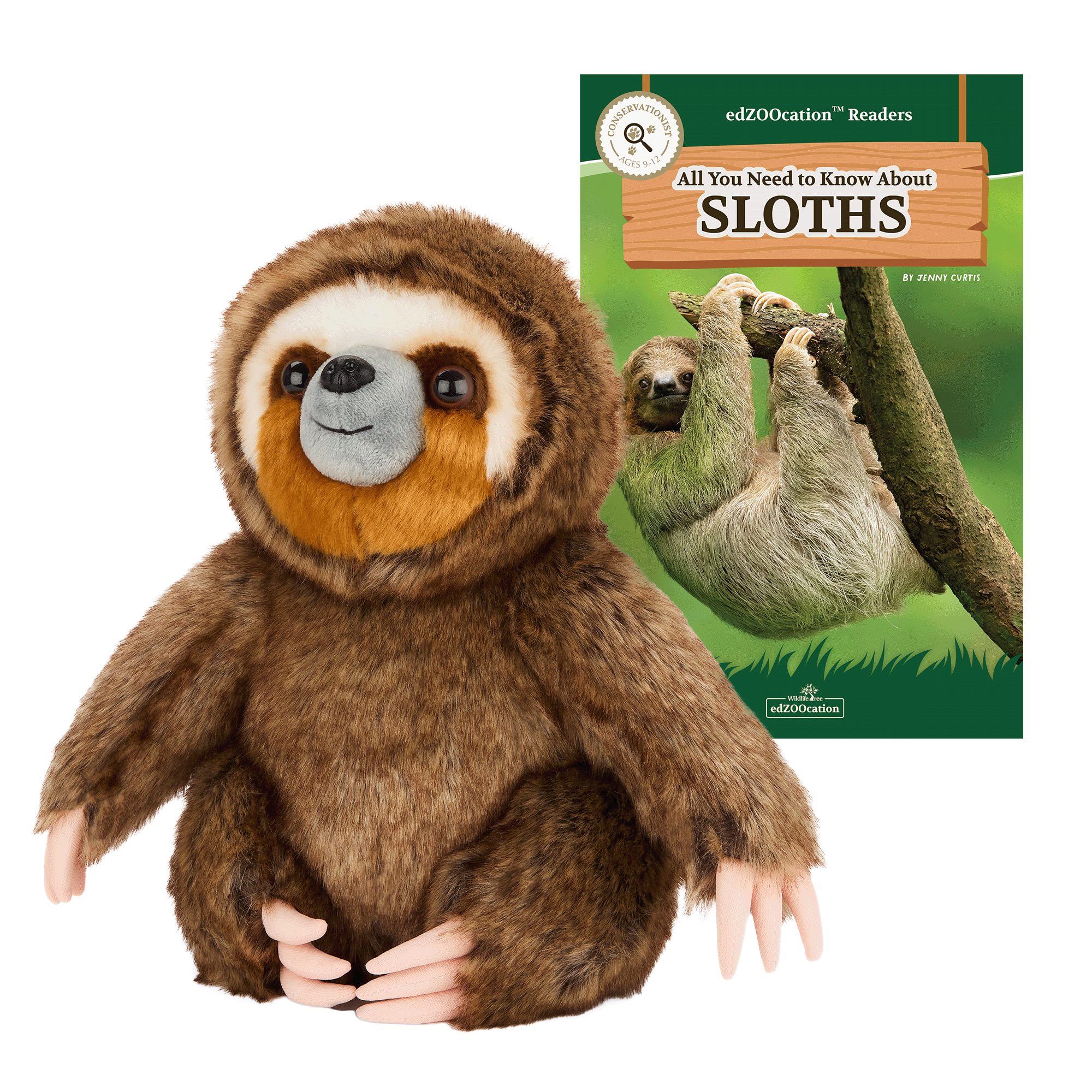 12” Plush + Conservationist Reader Book: Sloth (Ages 9–12)