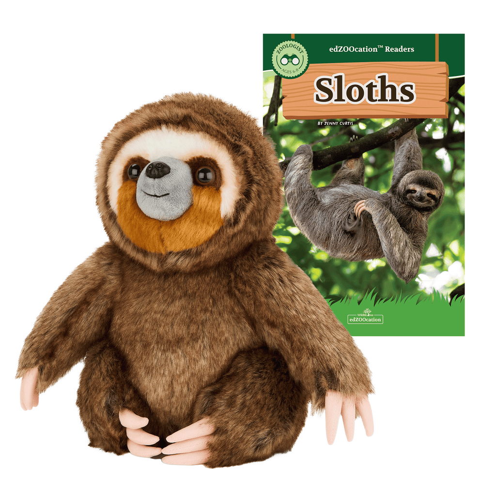 Plush sloth toy with a book titled 'Sloths' on a white background