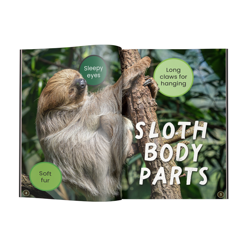 12” Plush + Zookeeper Reader Book: Sloth (Ages 3–5)