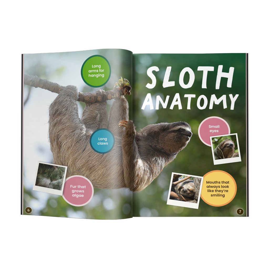 Open book showing a sloth illustration with labeled features on a green background