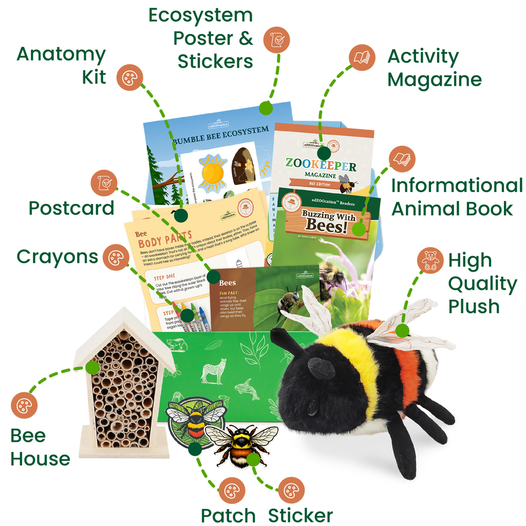 Bee Zookeeper Box (Ages 3-5)