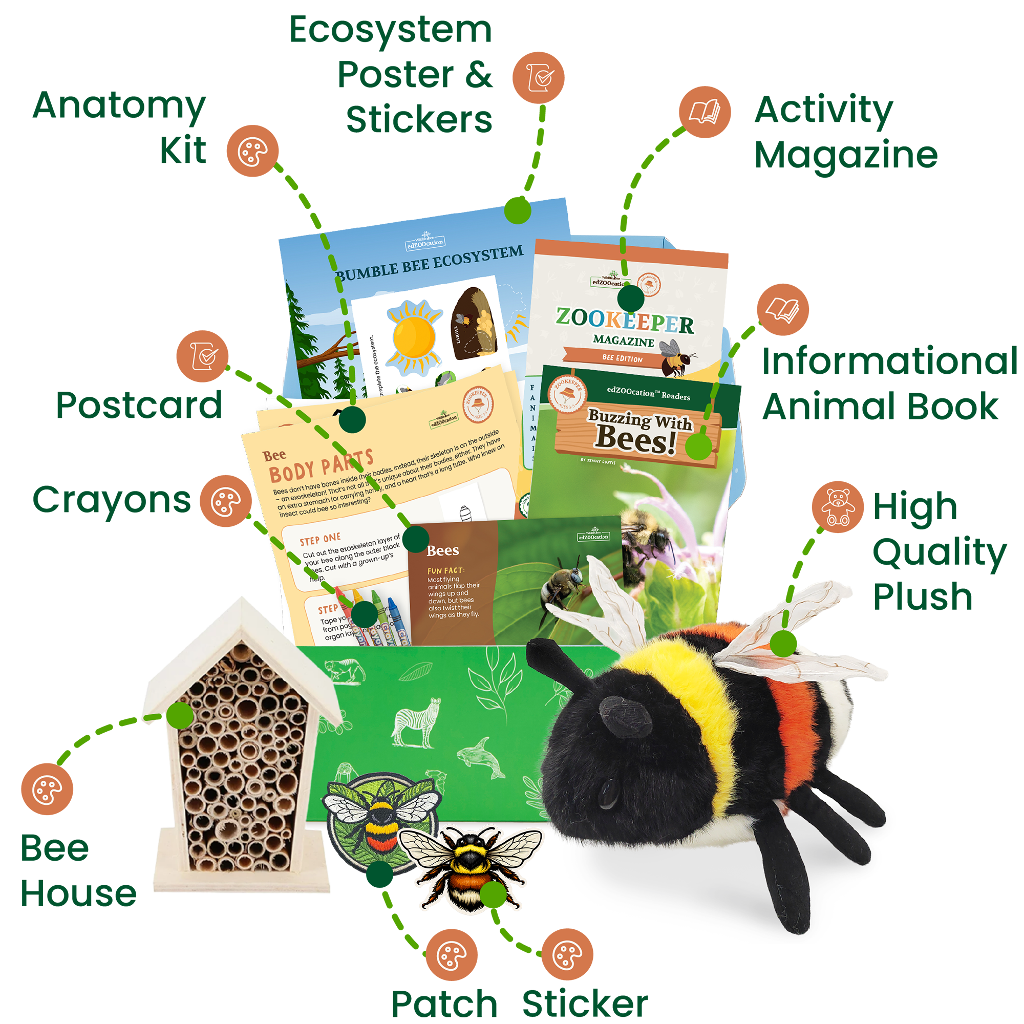Bee Zookeeper Box (Ages 3-5)