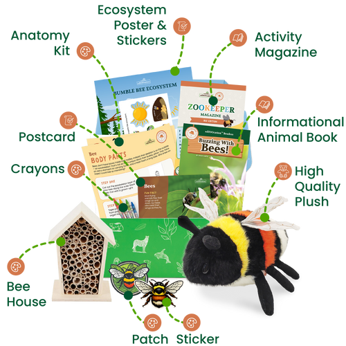 Bee Zookeeper Box (Ages 3-5)