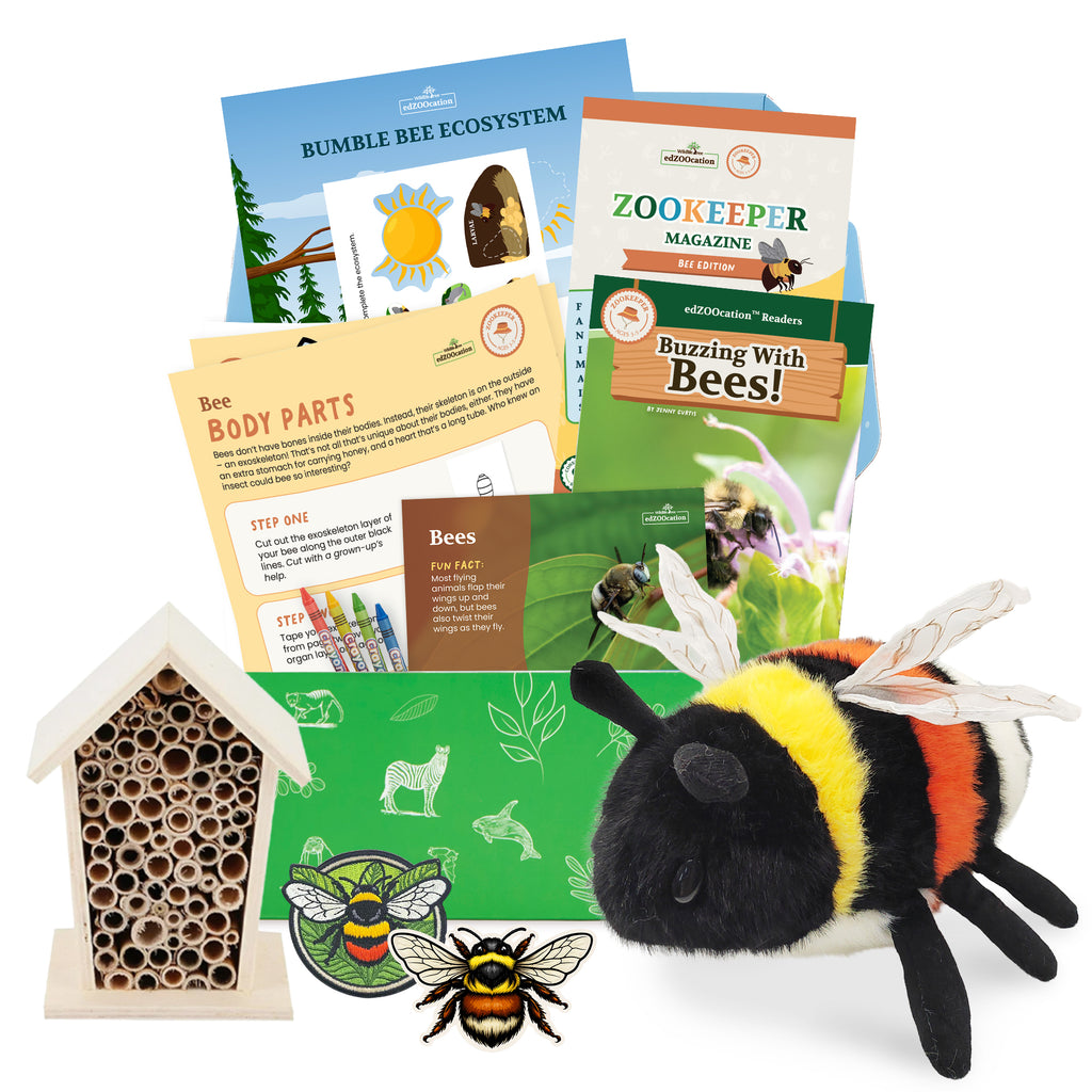 Educational bee-themed items including a plush bee, insect house, and books on a white background