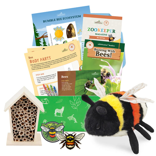 Educational bee-themed items including a plush bee, insect house, and books on a white background