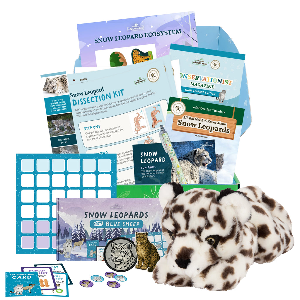 Snow leopard educational kit with plush toy, books, and materials on a white background