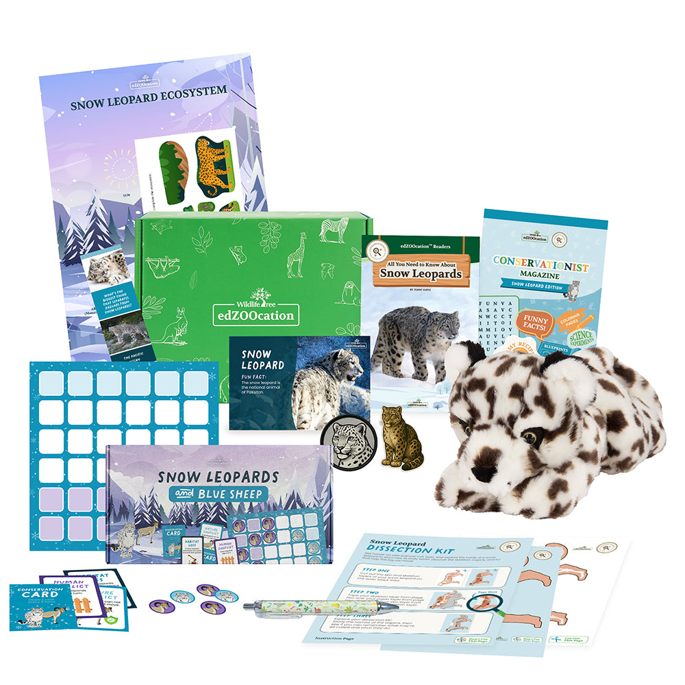 Educational materials and toys related to snow leopards on a white background