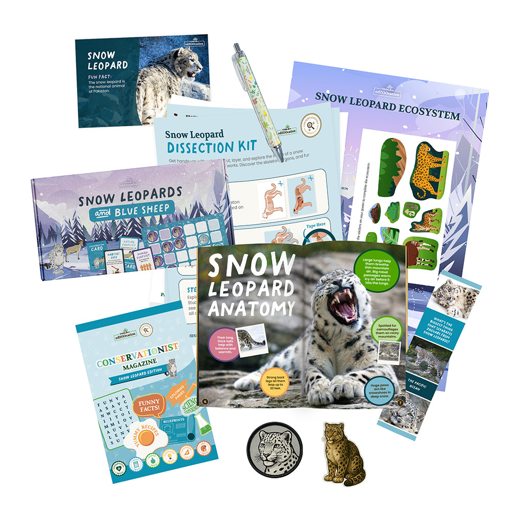 Snow leopard educational kit with books, models, and tools on a white background
