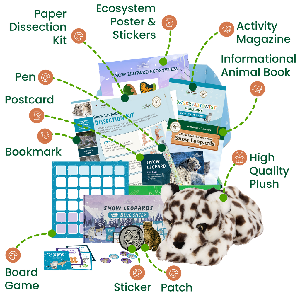 Collection of educational and interactive items related to snow leopards with various products displayed.