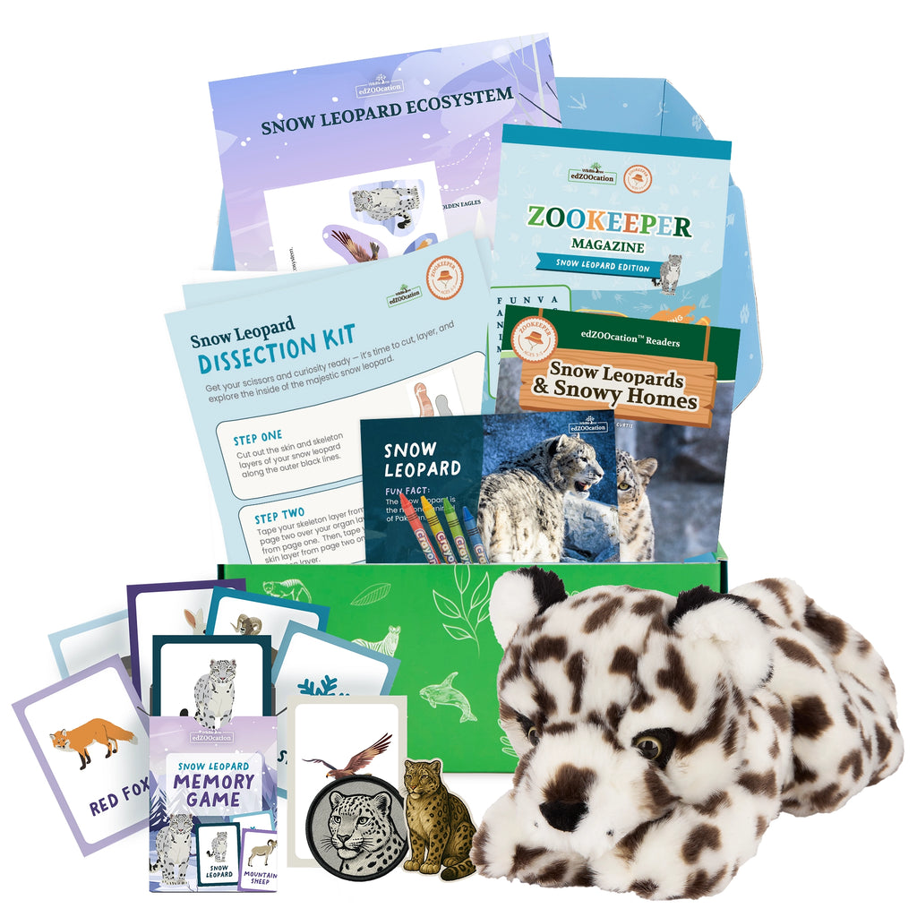 Educational snow leopard kit with books, toys, and activities on a white background