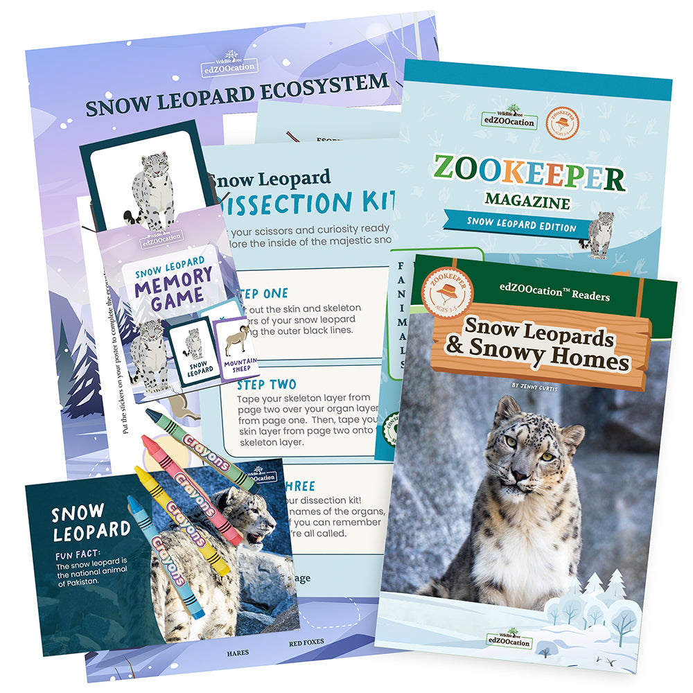 Educational materials about snow leopards including a magazine, book, and activity sheets.