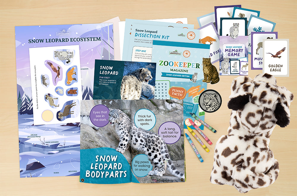 Educational materials and toys related to snow leopards on a wooden surface