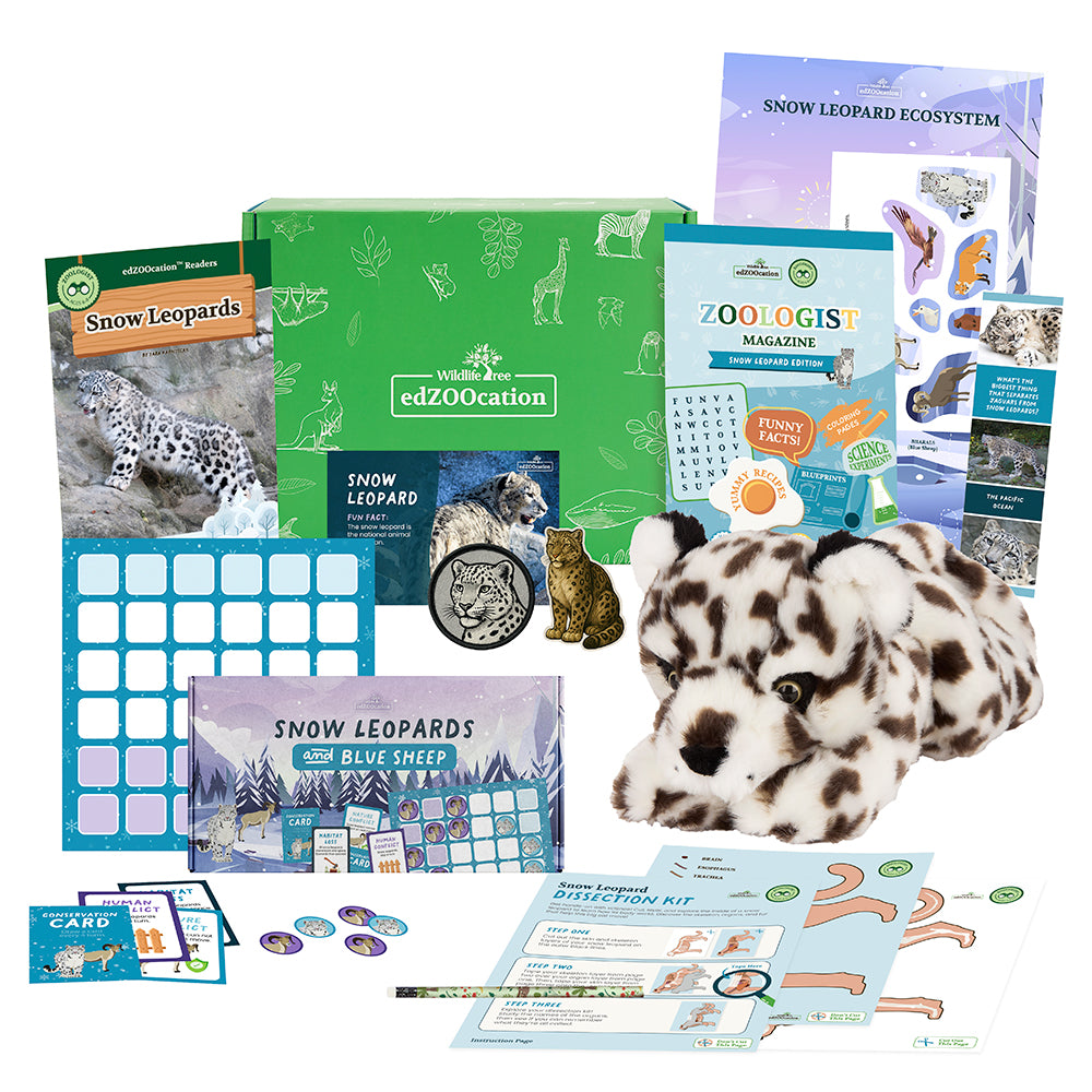 Educational snow leopard themed kit with books, posters, and plush toy on a white background