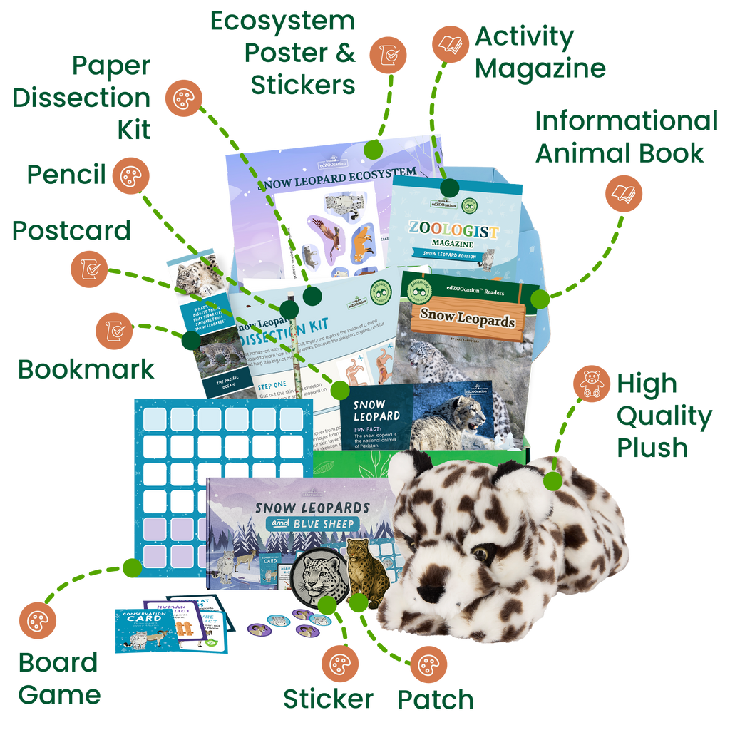 Educational and promotional materials for snow leopards including a plush toy, book, and various items.