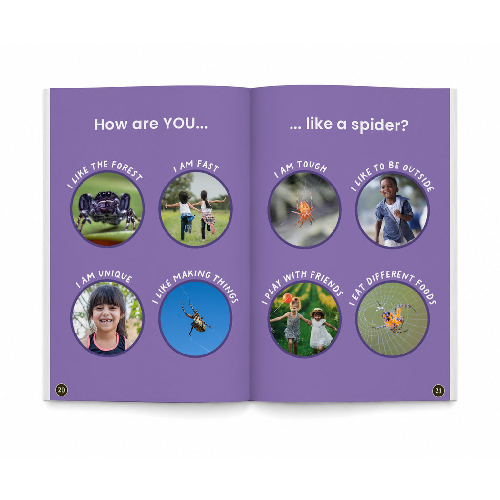 Spiders Everywhere book spread asking how kids are like spiders, with photos