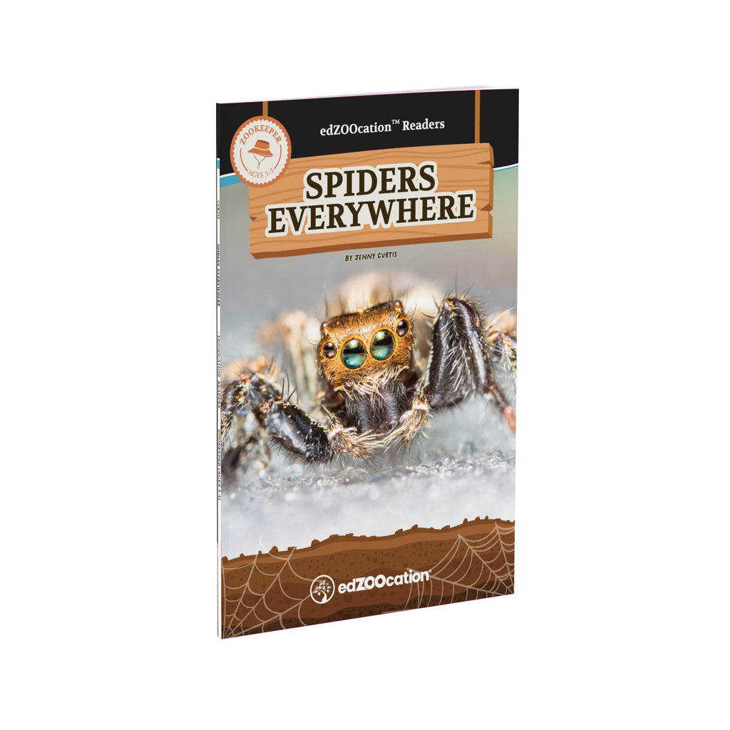 Spiders Everywhere reader book, Zookeeper level, cover with a jumping spider