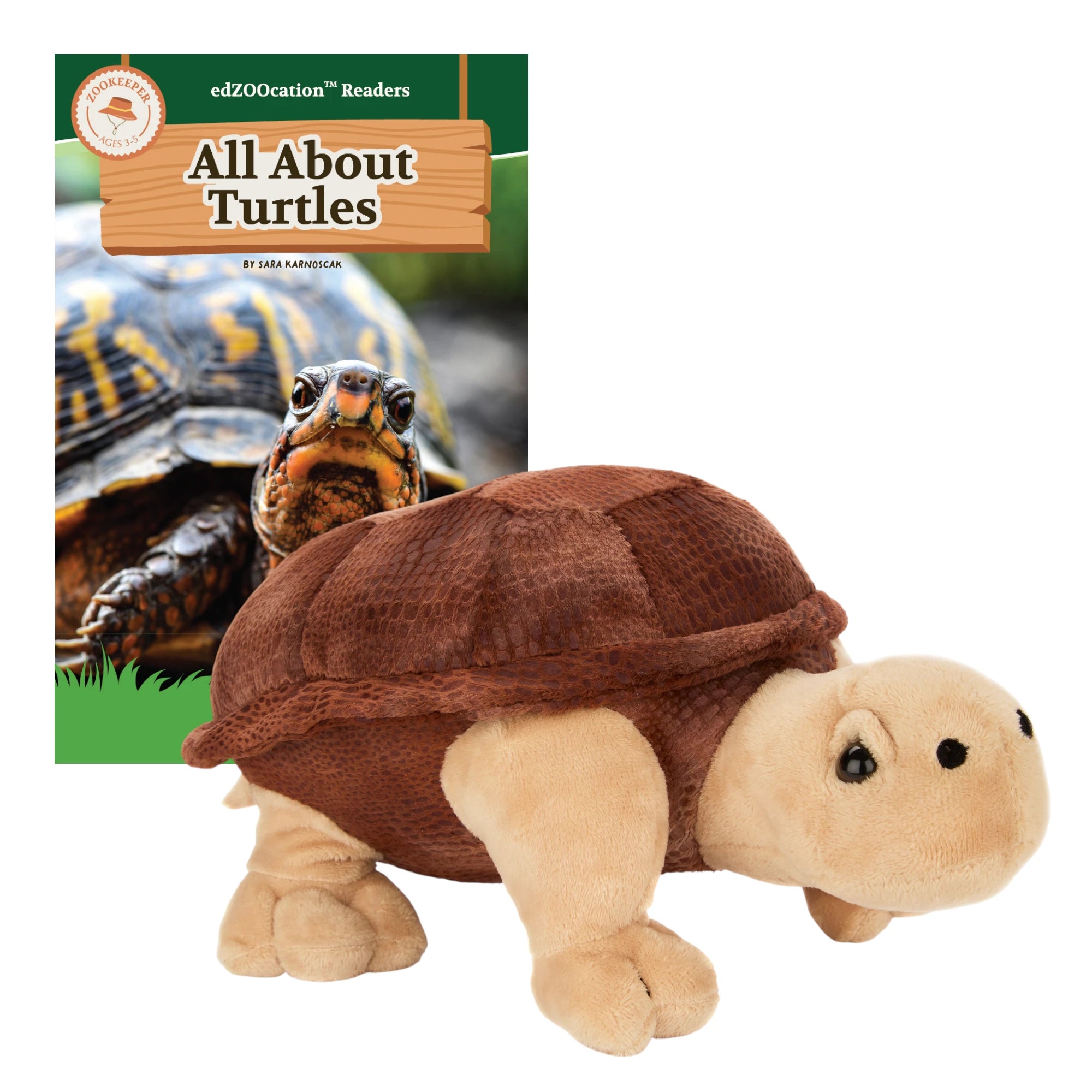 Plush turtle toy with educational book titled 'All About Turtles' on a white background