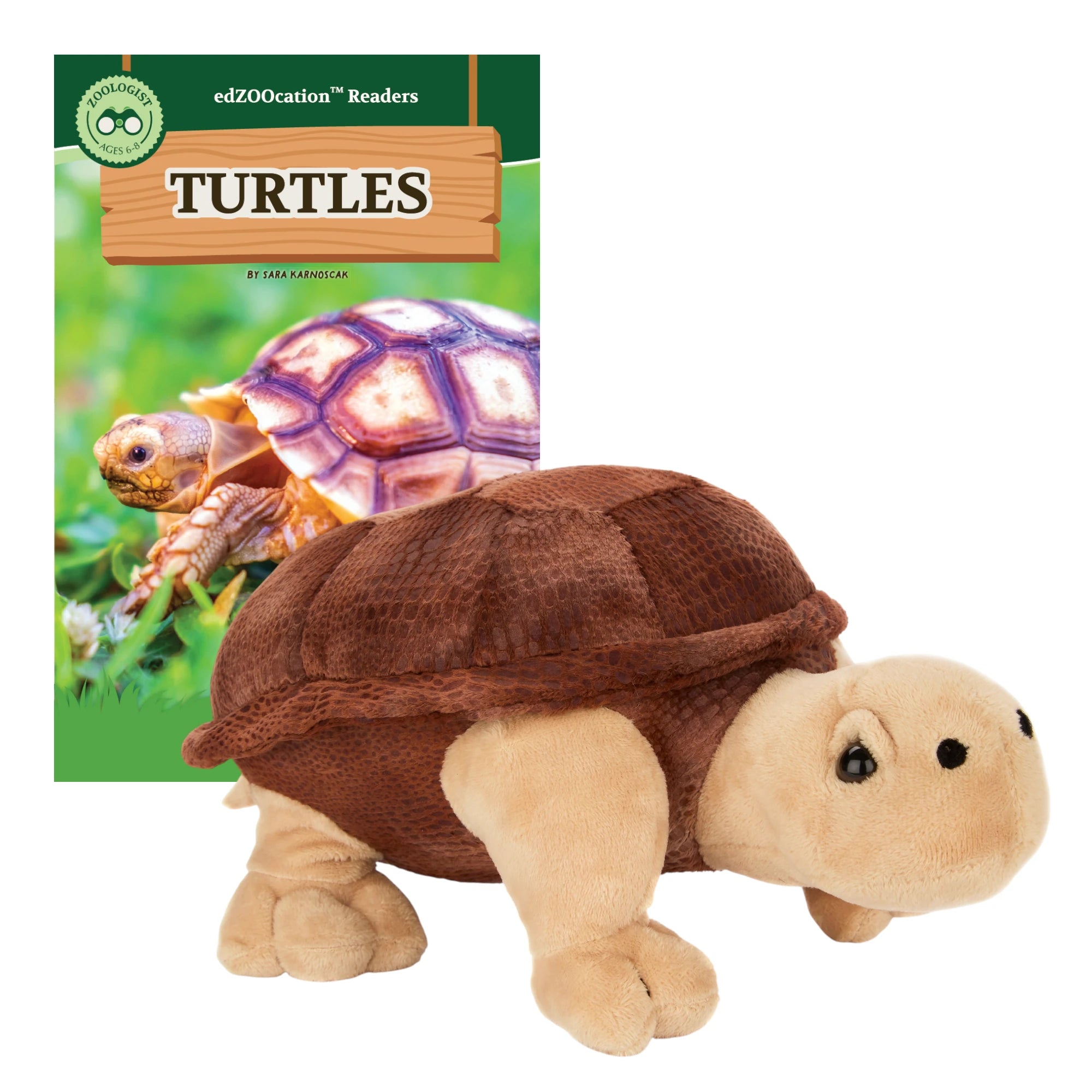 Plush turtle toy with educational book titled 'Turtles' on a white background