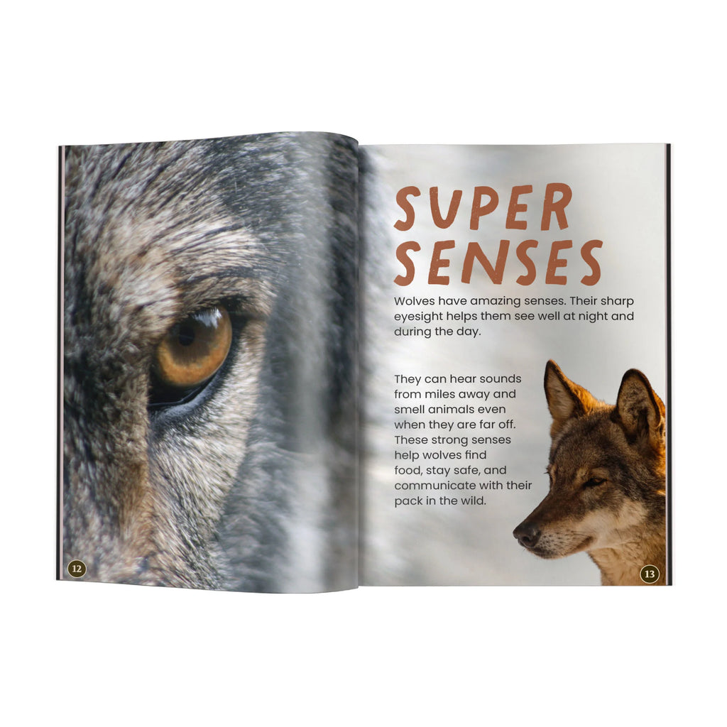 Book open to a 'Super Senses' page about wolf eyesight, hearing and smell, with a close-up of a wolf's eye.