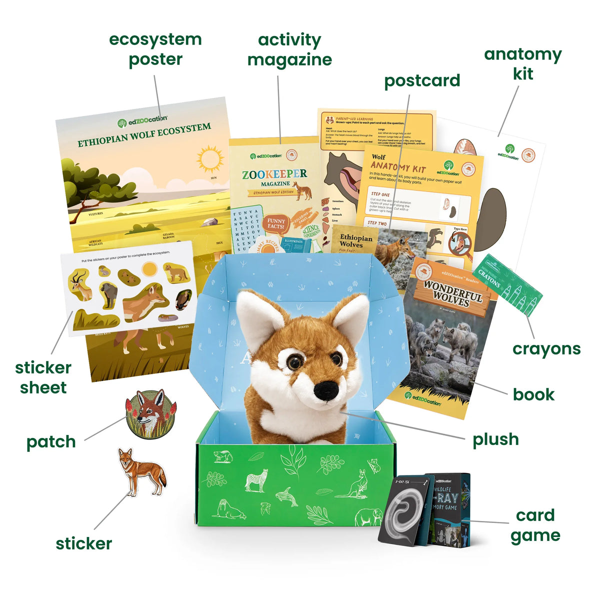 Labelled breakdown of the edZOOcation Zookeeper box for ages 3–5, naming the ecosystem poster, activity magazine, postcard, anatomy kit, crayons, book, plush Ethiopian wolf, card game, sticker, sticker sheet and patch.