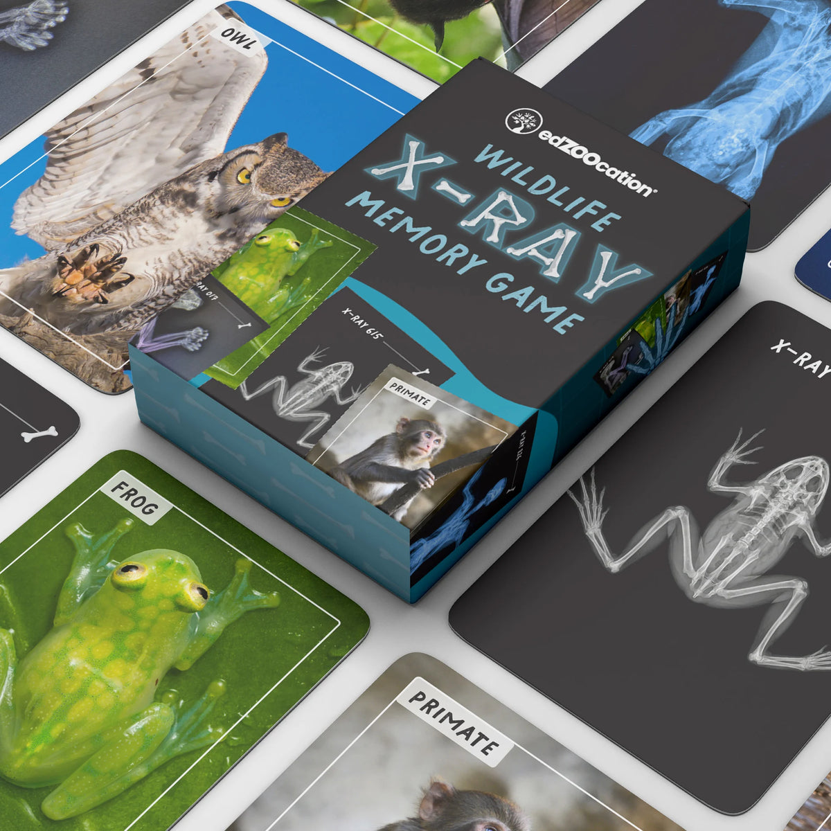 Wolf Kit Conservationist Memory Card Game w/ Vet Case Cards